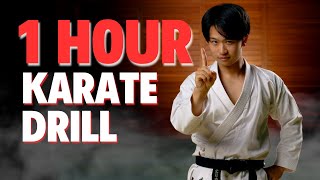 1 Hour Karate Workout Video [upl. by Icats]