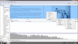 Foobar 2000 tutorial Instalacion y Customizacion basica Parte 2 [upl. by Labina625]