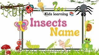 Insects Name Insects name in English insects name for Kids Toddlerkids learning channel📚 [upl. by Akceber337]