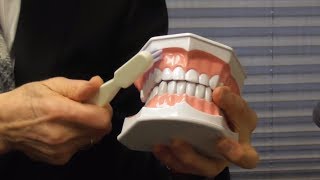 How to Brush Your Teeth With Gum Recession [upl. by Birdella]