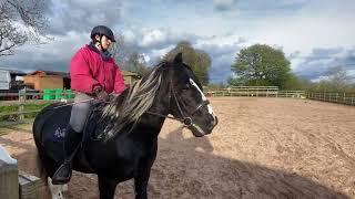 Novice 34 Eriders dressage [upl. by Herbie547]