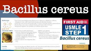 Bacillus cereus in HindiUrdu by first aid for USMLE step 1 [upl. by Jeddy]