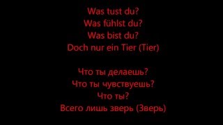 Tier  Rammstein HD Lyrics Текст песни и перевод [upl. by Sybley]