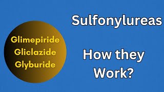 Sulfonylrueas  Pharmacology Mechanism of Action for Glimepiride Gliclazide [upl. by Arriaet]