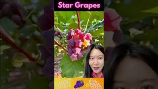 Where Can I Get These Star Grapes 🍇 [upl. by Negem213]