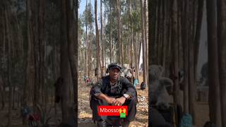 MBOSSO KHAN KWENYE UBORA WA OVAquotOVER mbosso ova newsong wasafi youtubeshorts love [upl. by Anselmi]