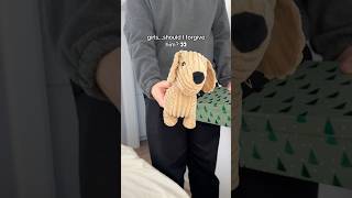 Dachshund owners should I forgive him🥹🐾 dachshund gift slippers [upl. by Auqinu]