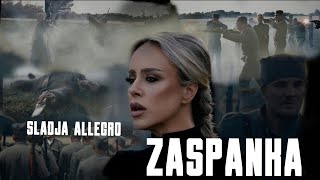 Sladja Allegro ZASPANKA OFFICIAL VIDEO 2024 [upl. by Danella]