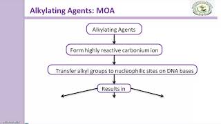 Antineoplastic agent Mechanism of action [upl. by Hampton]