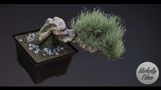 Zbrush Timelapse  Bonsaï [upl. by Ruhl]