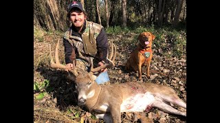 Bad Shot On Big Illinois Buck  Awesome GoPro Footage Using A Tracking Dog [upl. by Alcock]