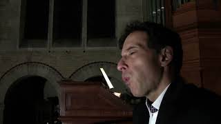 Robert Schumann  Widmung op 251 Bertrand Causse siffleur  Eric Lebrun orgue [upl. by Denice]