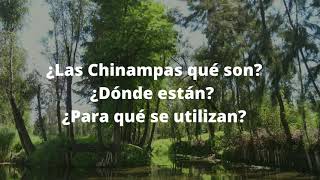 Chinampas ¿Qué son [upl. by Laddie]