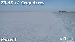 ONLINE ONLY 24416  Acres  Clay County MN [upl. by Sloatman]