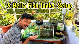 DIY Five Betta Fish Tank Tower🔥🗼 Betta Fish Tank  Small Aquarium Setup  Fish Tank Idea🥰 [upl. by Harrington949]