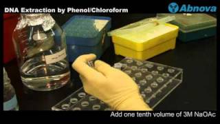 DNA Extraction by Phenol Chloroform [upl. by Aitekram]