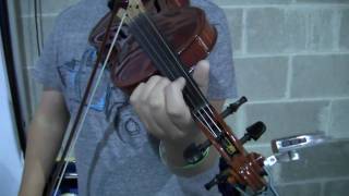 Peterson Tuners at IBMA  Tyler White and Preston Schmidt Bluegrass Fiddle [upl. by Nerol297]