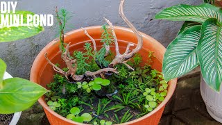 Simple DIY Mini Pond for Guppies  Patio Pond  No Filter [upl. by Atile323]