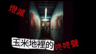 【我蒐集的真實撞鬼經歷17】玉米地裡詭異的咚咚聲  燈滅  詛咒、撞鬼、附身、兇案…占卜師的日常 [upl. by Ecnirp960]