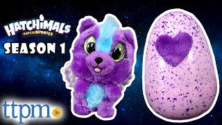 Hatchimals Hatchibuddies Season 1 Review  Spin Master Toys [upl. by Georgeanne]