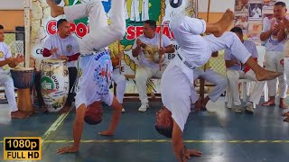 III ME AMARRO NA GINGA CDO JAICÓS PIAUÍ  A RODA PEGOU FOGO  Mestre Bruno Pulga 🙏🏻 [upl. by Ahsillek]