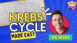 Krebs Cycle  Made Easy [upl. by Athalie]