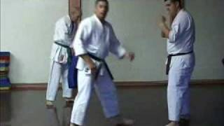 GOJU RYU KARATE  TRAINING TECHNIQUES 1  KIHON BASICS [upl. by Maice]