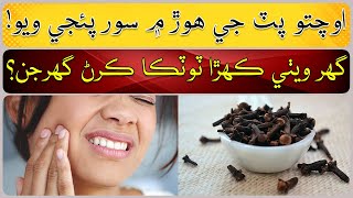 Home Remedies to Avoid Toothache [upl. by Naujak806]