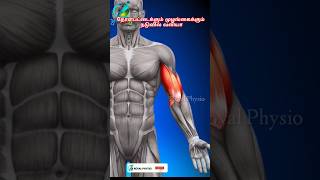 biceps pain relief exercises  bicep injury recovery exercises  sore upper arm muscles treatment [upl. by Nared]