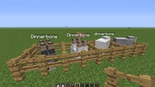 Minecraft Dinnerbone glitch [upl. by Ree263]