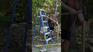 Placing 24 Beam on Sawmill Shelter shorts [upl. by Nan]