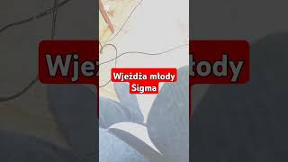 Bedoes wjeżdża młody Sigma [upl. by Aeslehs]