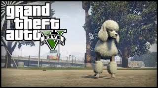 GTA 5 Next Gen  TWO Peyote Plant Locations 02 and 03  Peyote Plants Guide 327 Peyote Plants [upl. by O'Driscoll]