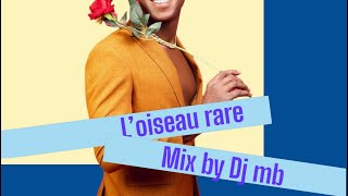 Loiseau Rare mix version 2023 [upl. by Aronos]