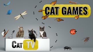 CAT Games  Ultimate Cat TV Bugs and Butterflies Compilation Vol 6 🐝🐞🦋🦗🐜  Videos For Cats to Watch [upl. by Danie283]