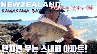 KIWILIFENew Zealand Kawakawa bay 뉴질랜드 카와카와베이에서 스내퍼 낚시 [upl. by Gnagflow]