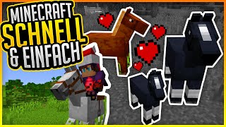 Pferde finden zähmen amp züchten Tutorial ✨ Minecraft Schnell und Einfach 36 ✨ ErikOnHisPeriod [upl. by Naols]