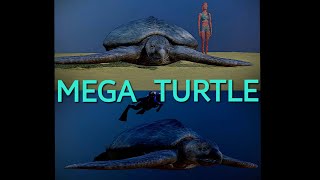 The Largest Turtle Ever Archelon 3D size visualization [upl. by Annairam]