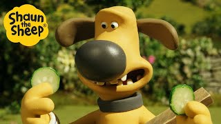 Shaun the Sheep 🐑 Bitzer Relaxing  Cartoons for Kids 🐑 Full Episodes Compilation 1 hour [upl. by Ika]