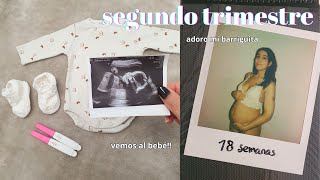 VLOG EMBARAZO  segundo trimestre 👶 HOLA bebé 🥰 mucha vida social para compartir la alegría 🥹 [upl. by Ethbin]