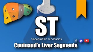 Ultrasound Couinauds Liver Segments [upl. by Akenna]