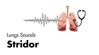 Stridor  Lung Sounds  MEDZCOOL [upl. by Cori]