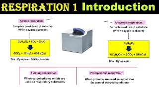 Respiration 1  Introduction  Protoplasmic vs Floating Respiration  Dr Ghanshyam Jangid [upl. by Nari]