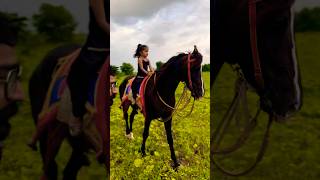 Dhruvi Horse Riding  horse horses ghoda horseriding horselover ytvideo shortsfeed [upl. by Yxor]