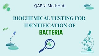 Biochemical tests for Bacterial identification  Qarni MedHub  Bacteriology [upl. by Edieh595]