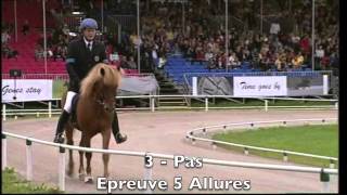 Compétition quot5 Alluresquot  Equitation Islandaise [upl. by Saltzman]