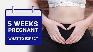 5 Week Pregnant  What to Expect [upl. by Feldt]