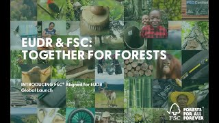 INDONESIAN  Introducing FSC Aligned for EUDR  Global Launch [upl. by Nhor]