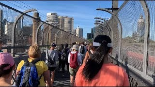 7 Bridges Walk  28km walk around Sydney Harbour from Milsons Point [upl. by Theresina379]