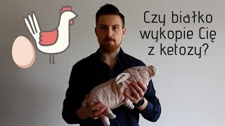 Czy nadmiar białka wyrzuci Cię z ketozy [upl. by Arlen218]